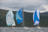 prime cut gbr3709 stoirm mhor gbr2102t insatiable gbr1566l  whyw17 wed gjmc 7943